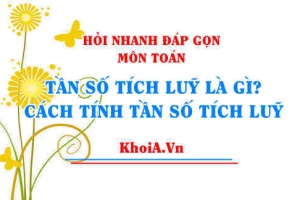 Tần số tích luỹ là gì? Cách tính Tần số tích luỹ trong thống kê và ví dụ Toán thống kê